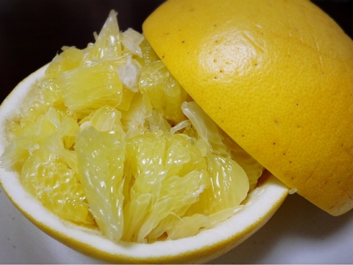 f:id:kefugahi:20201126113120j:plain