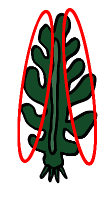 f:id:kefugahi:20210730141527p:plain