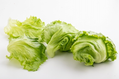 f:id:kefugahi:20211204124313j:plain