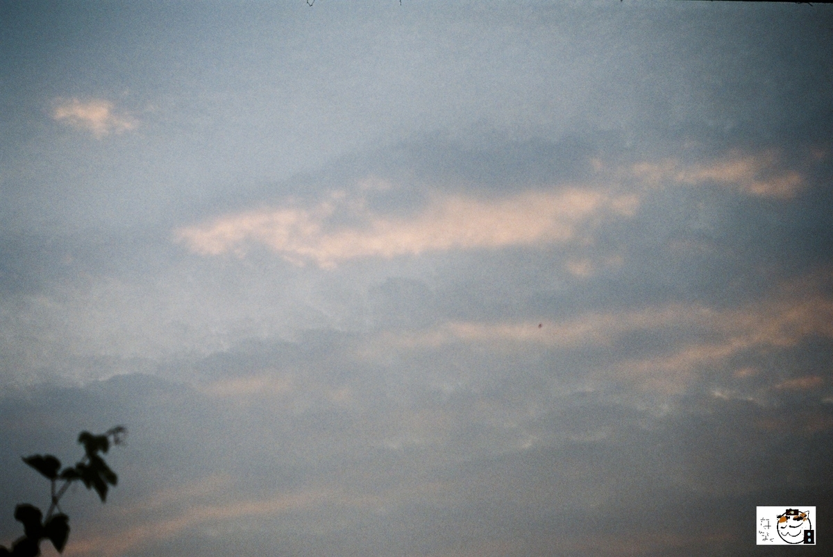 f:id:kefuo:20200902194452j:plain f:id:kefuo:20200902194452j:plain