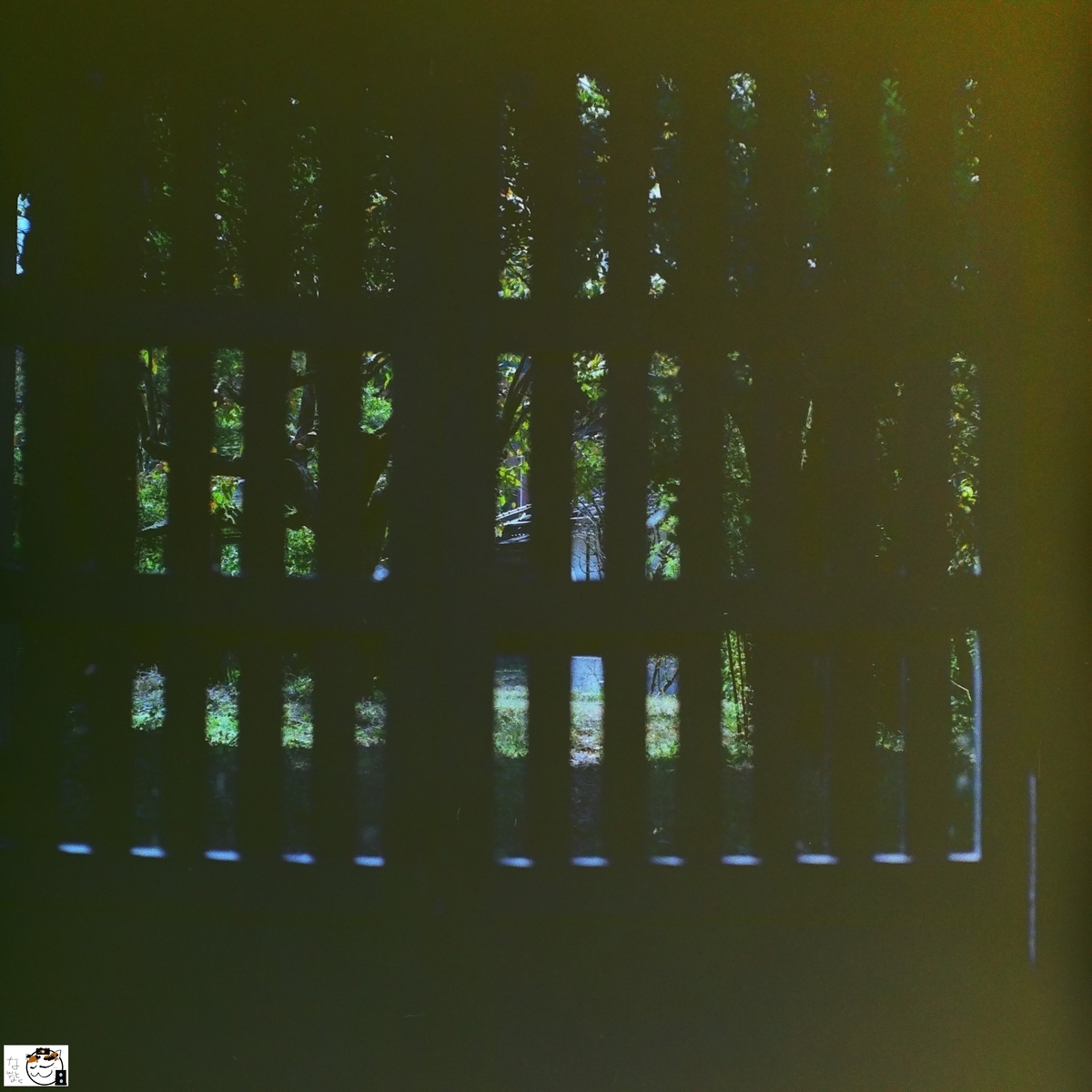 f:id:kefuo:20201113013918j:plain f:id:kefuo:20201113013918j:plain