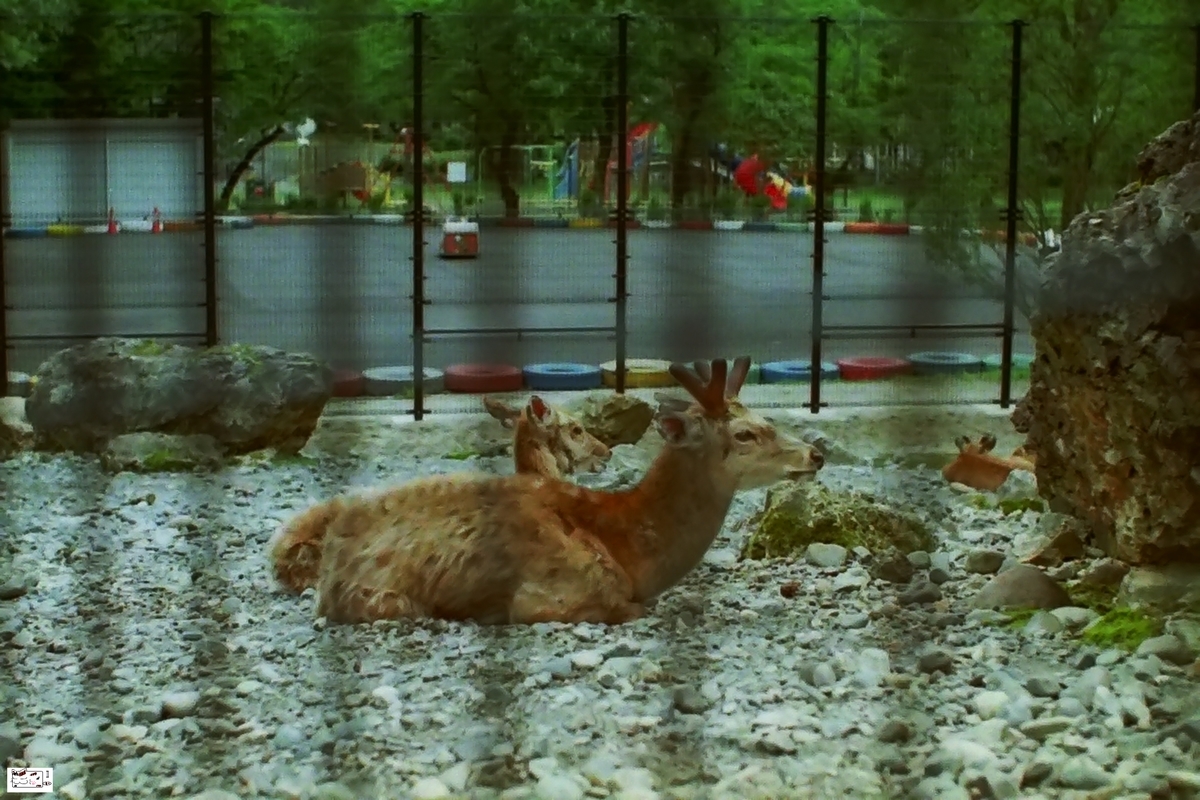 f:id:kefuo:20210731231044j:plain