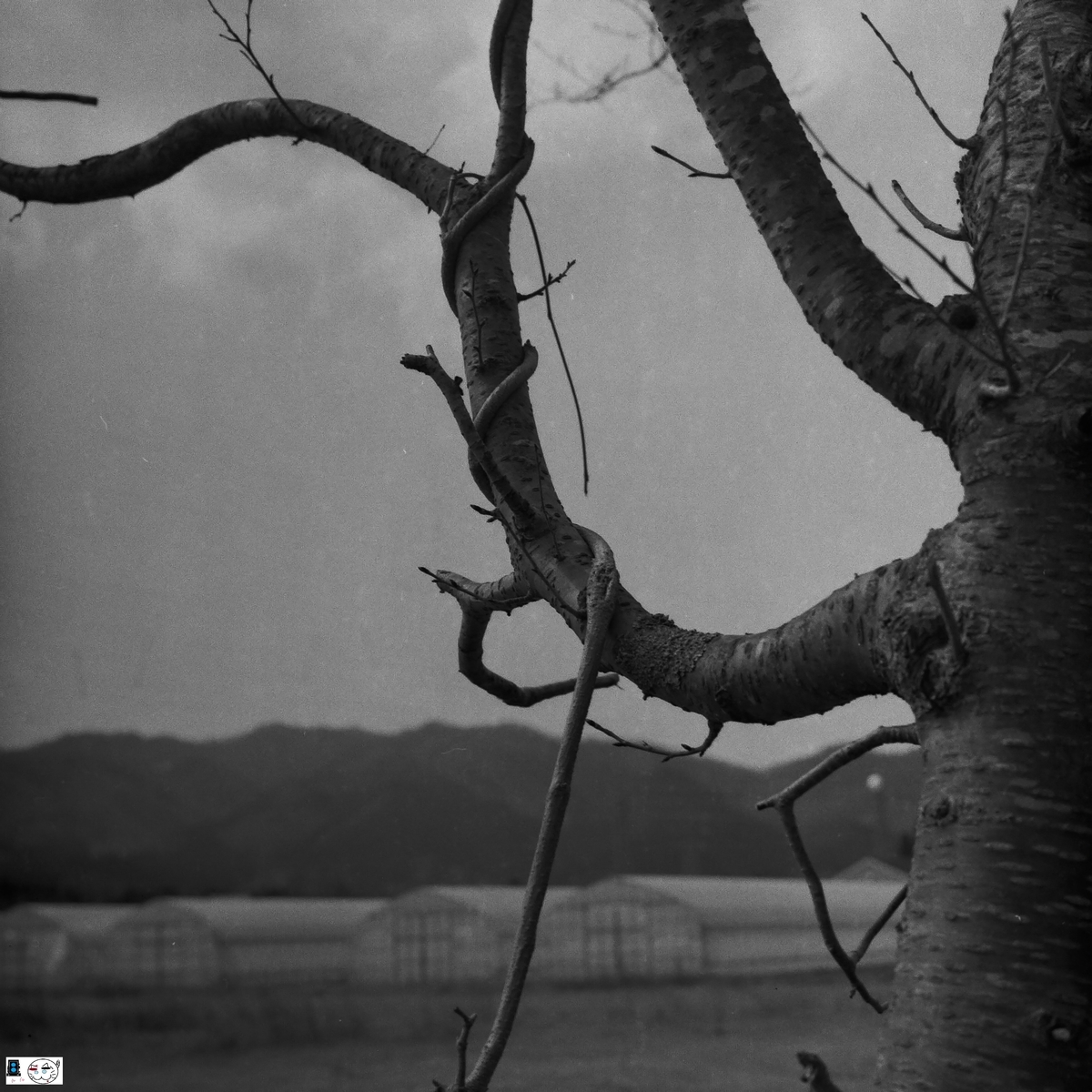 f:id:kefuo:20211125173703j:plain