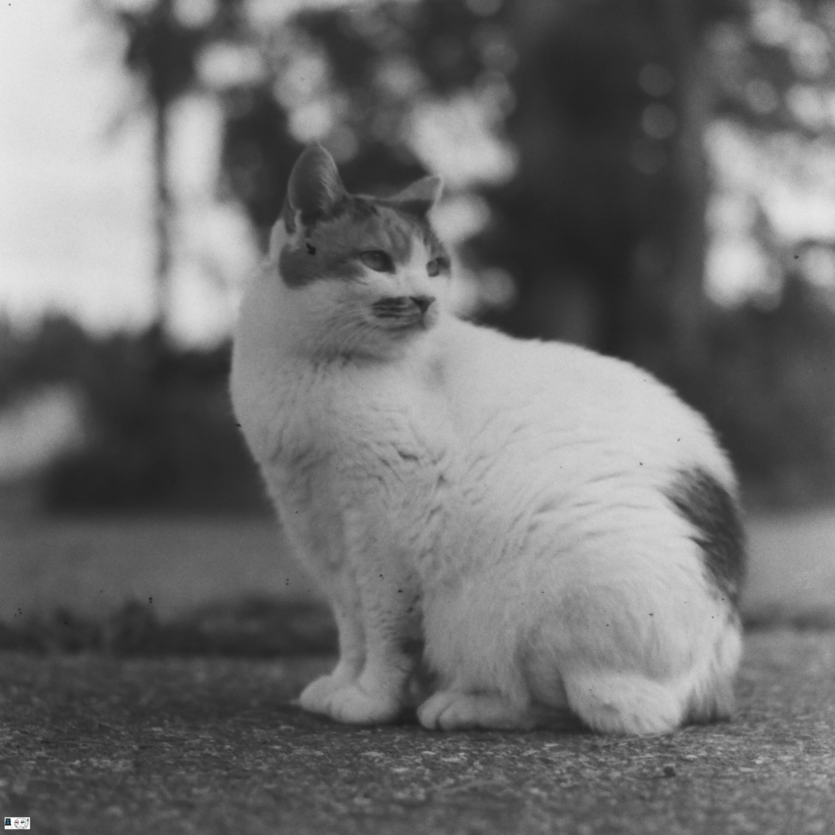 f:id:kefuo:20220112105817j:plain