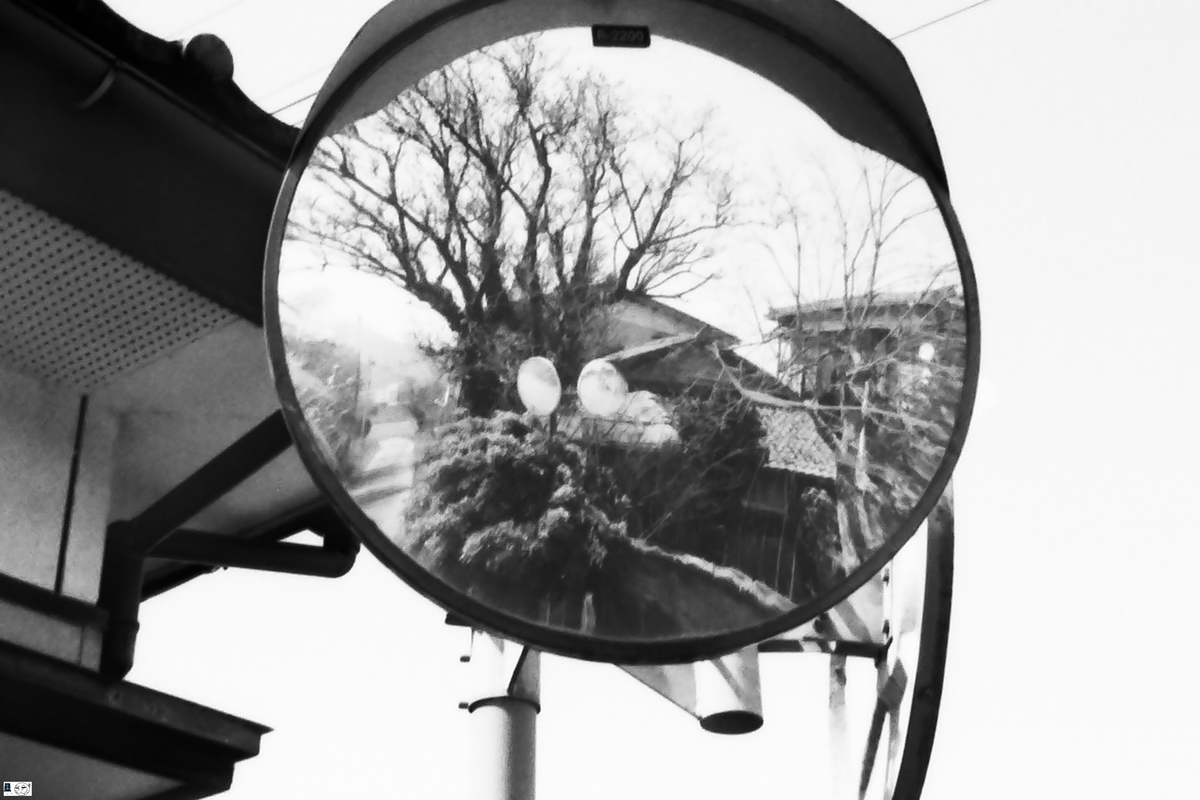 f:id:kefuo:20220126165222j:plain