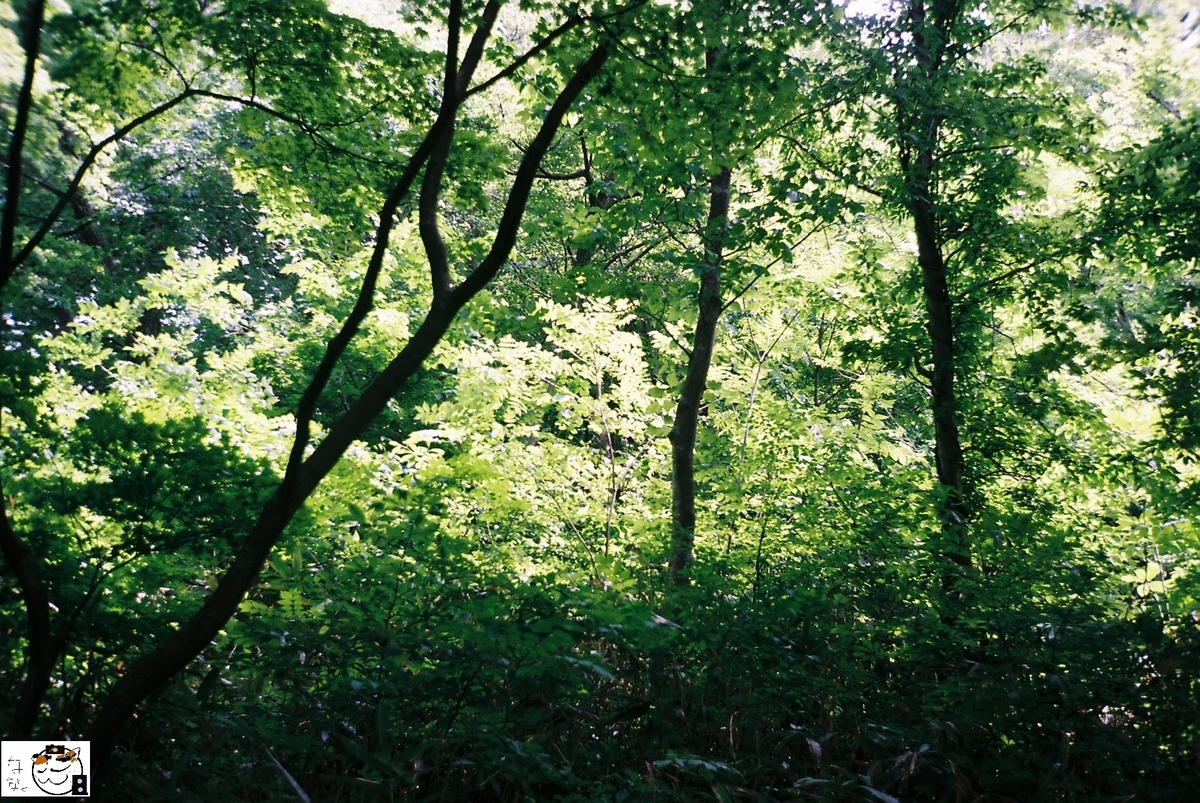 f:id:kefuo:20220208004428j:plain