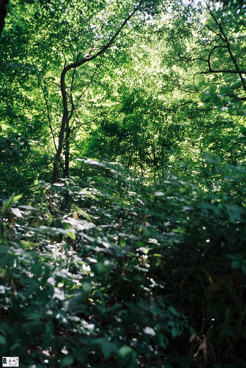 f:id:kefuo:20220208004657j:plain