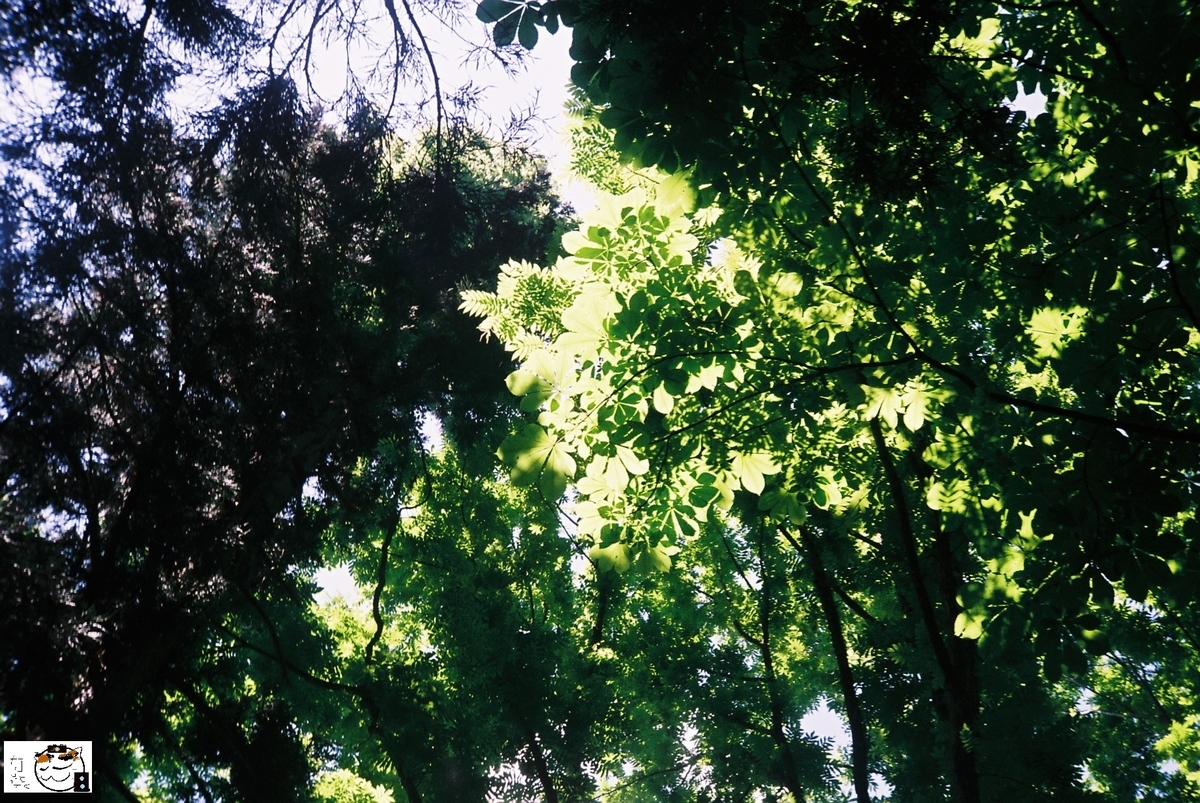 f:id:kefuo:20220208004727j:plain