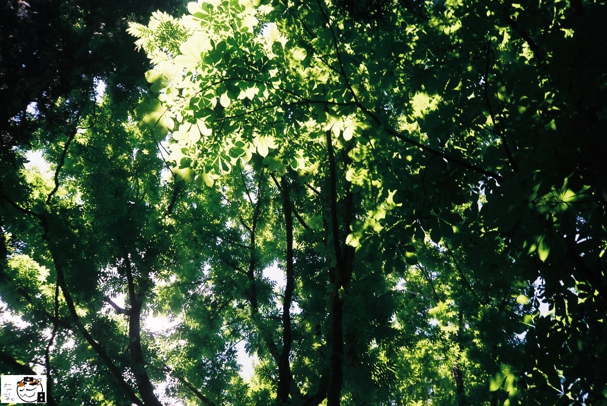 f:id:kefuo:20220208004737j:plain