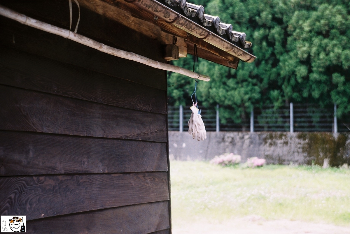 f:id:kefuo:20220208004909j:plain