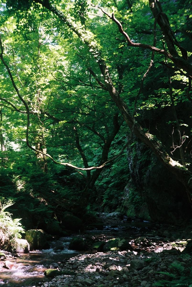 f:id:kefuo:20220208005002j:plain