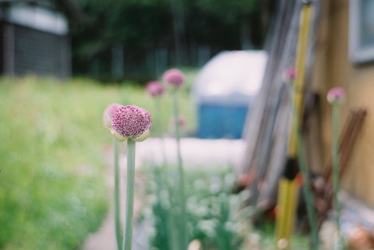 f:id:kefuo:20220208005018j:plain