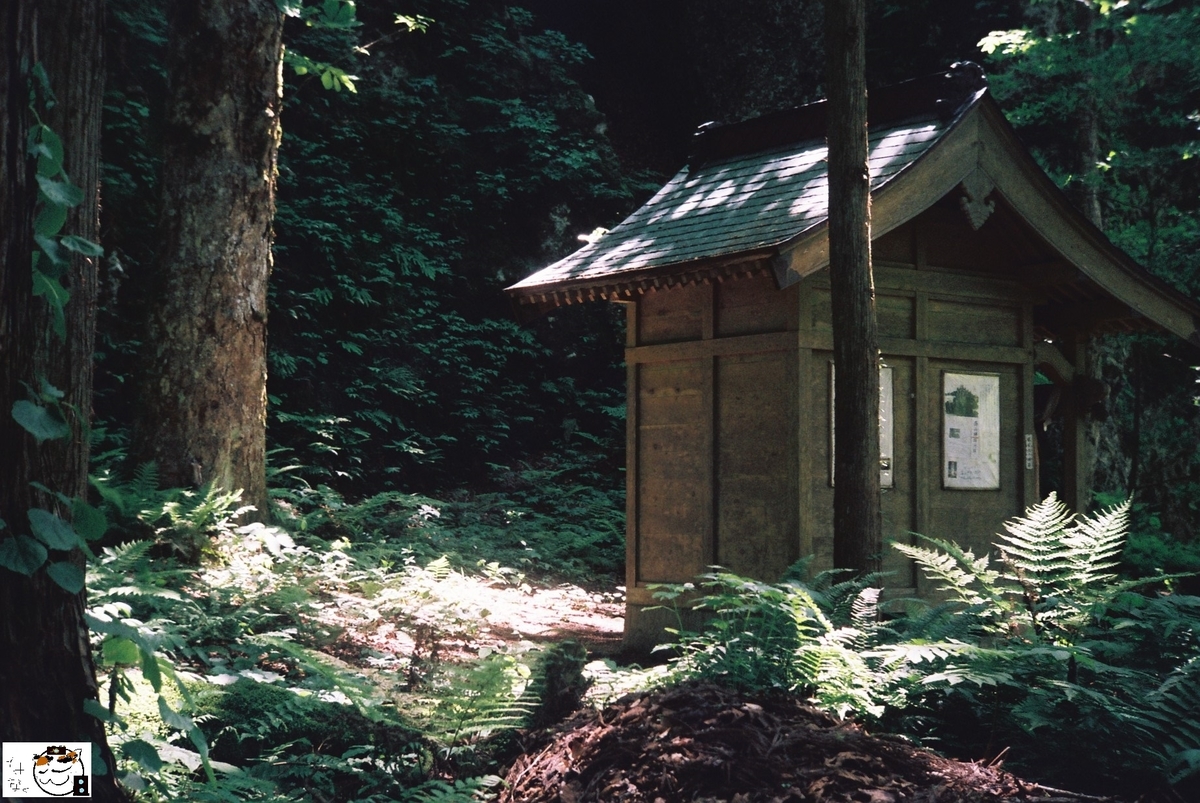 f:id:kefuo:20220208005044j:plain