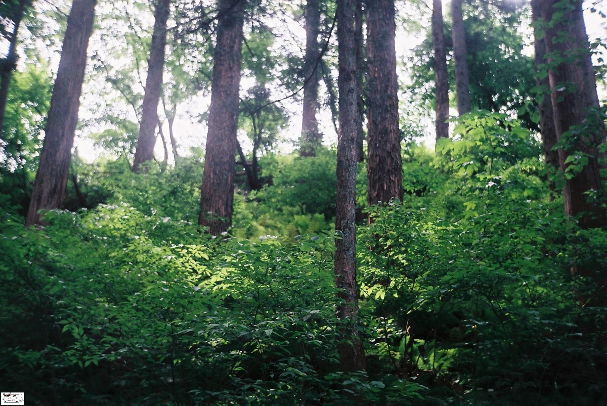 f:id:kefuo:20220208005103j:plain