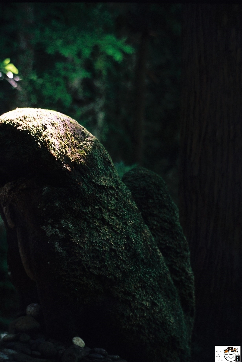 f:id:kefuo:20220208005142j:plain