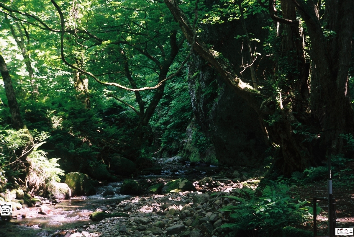 f:id:kefuo:20220208005158j:plain