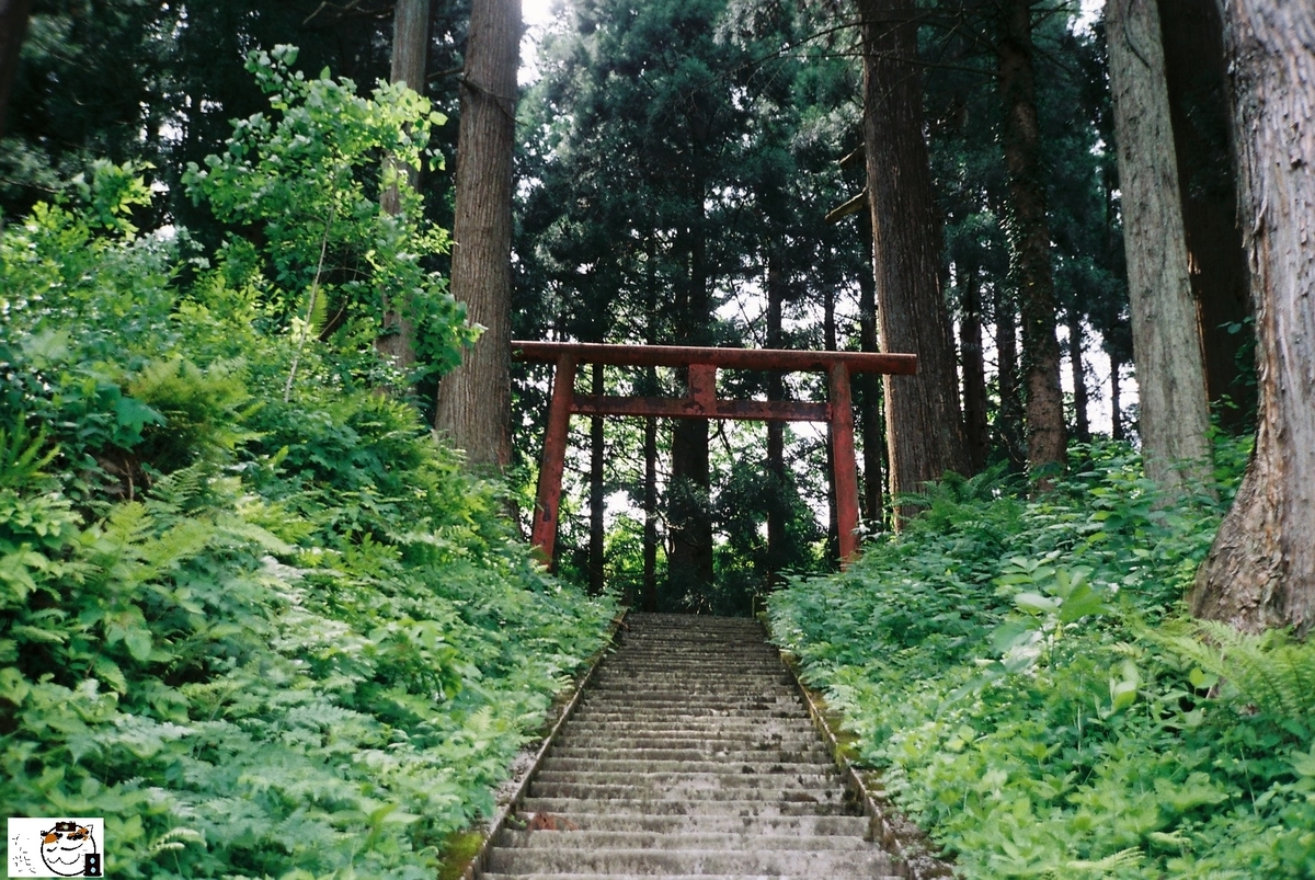 f:id:kefuo:20220208005227j:plain