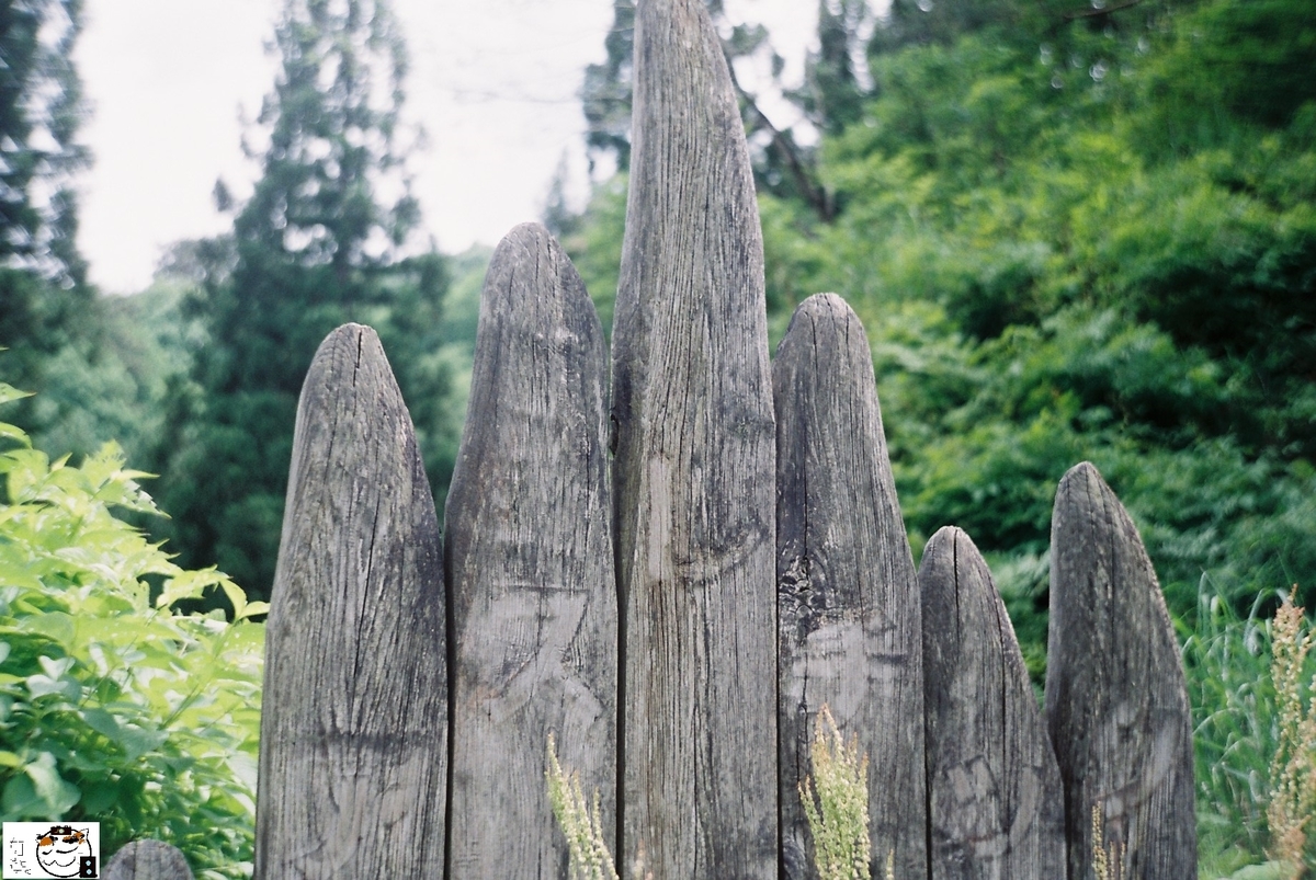 f:id:kefuo:20220208005300j:plain