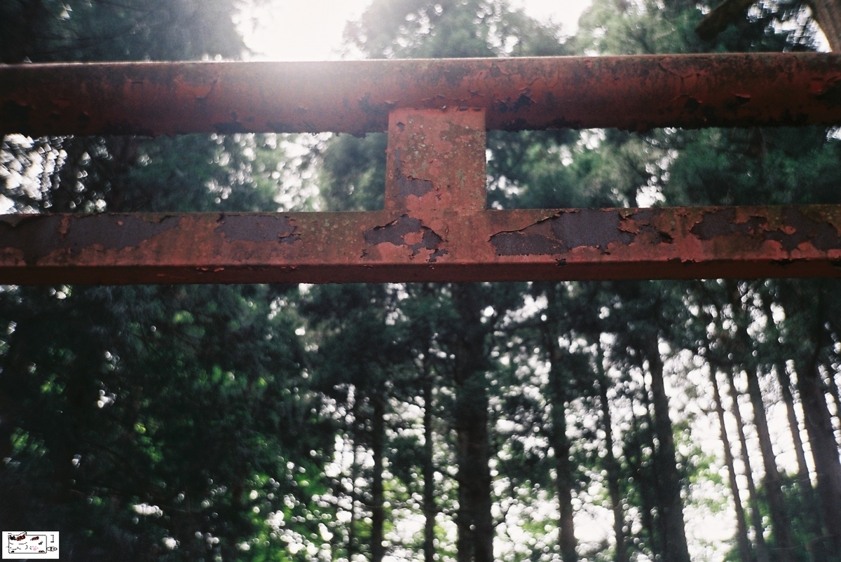 f:id:kefuo:20220208005313j:plain