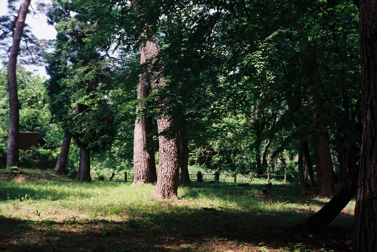 f:id:kefuo:20220208005413j:plain