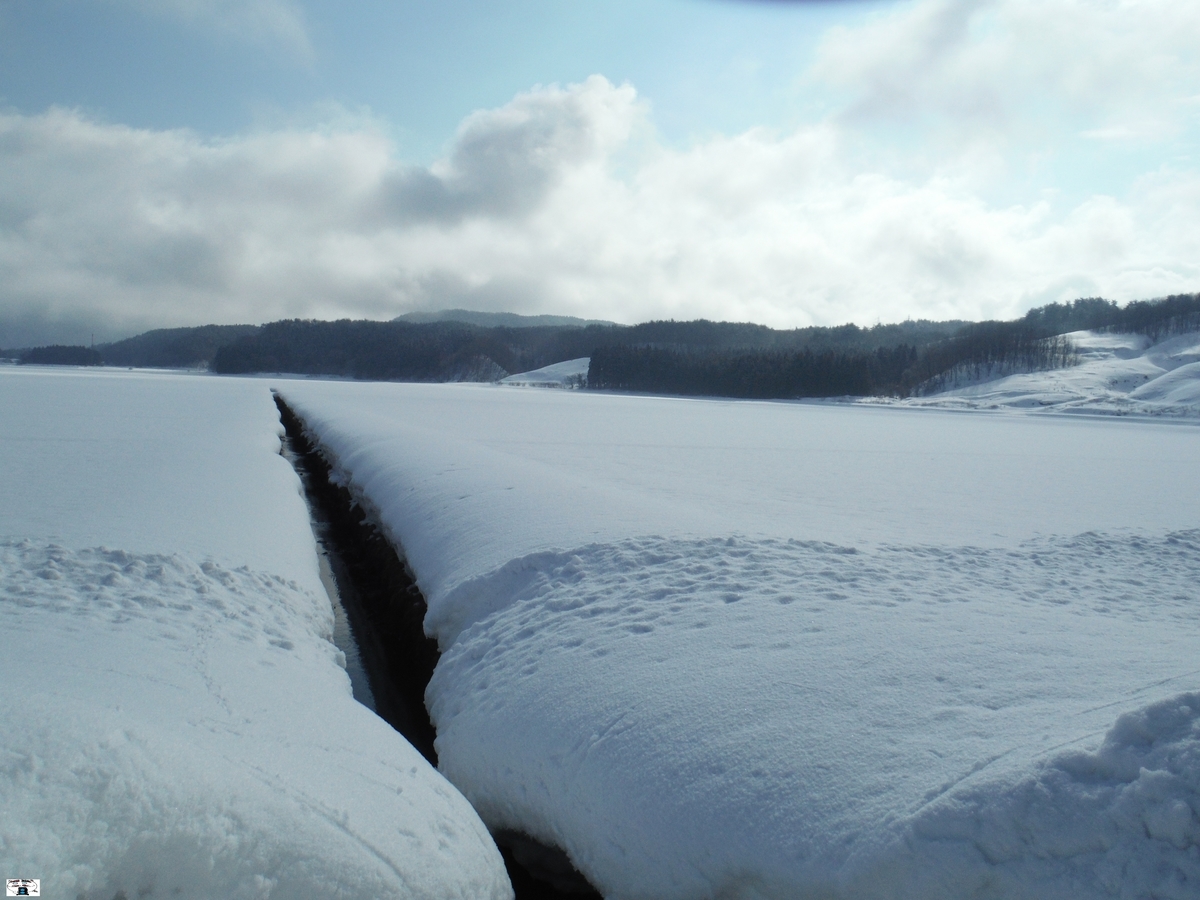 f:id:kefuo:20220211141757j:plain