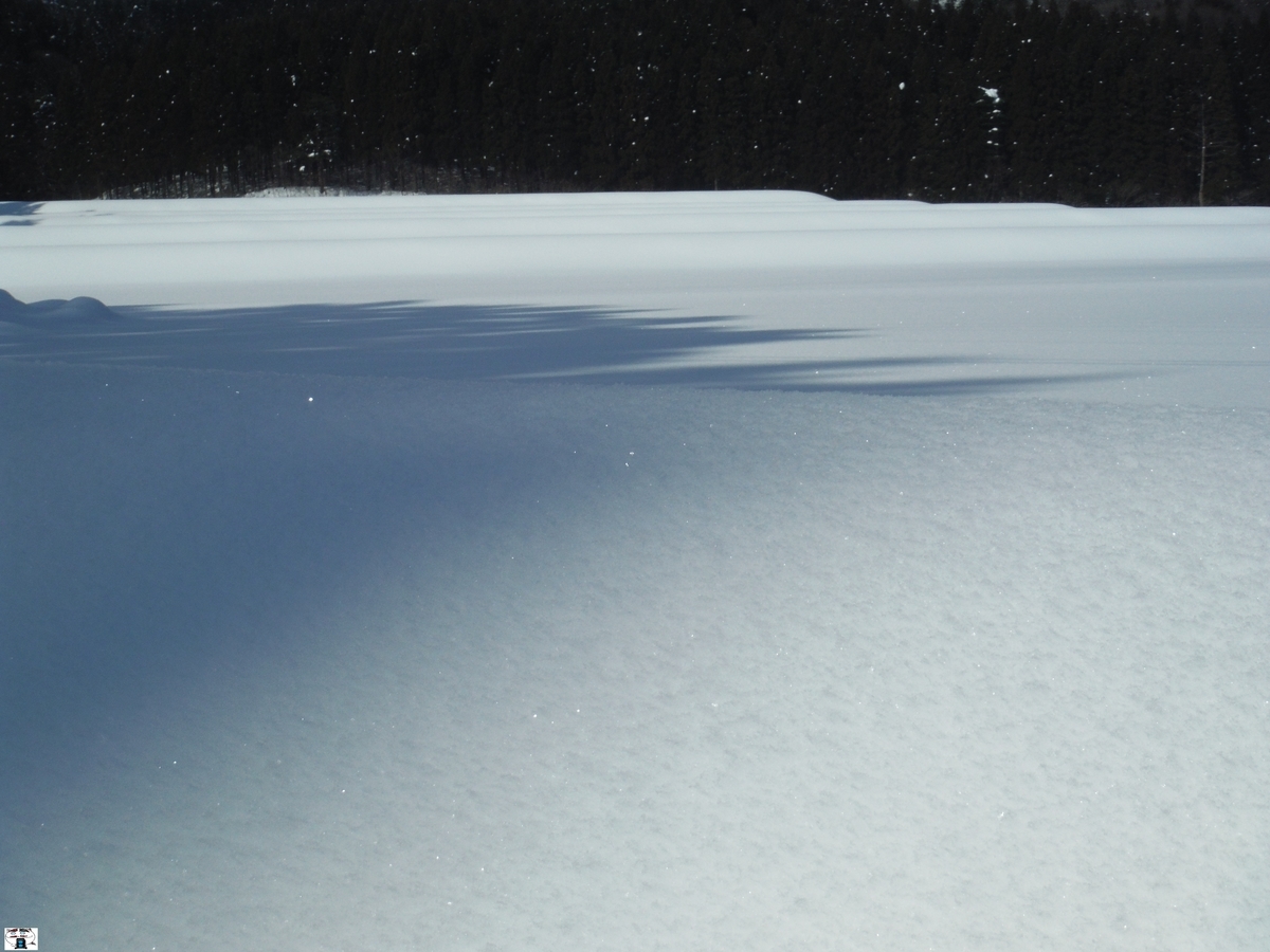 f:id:kefuo:20220211142007j:plain