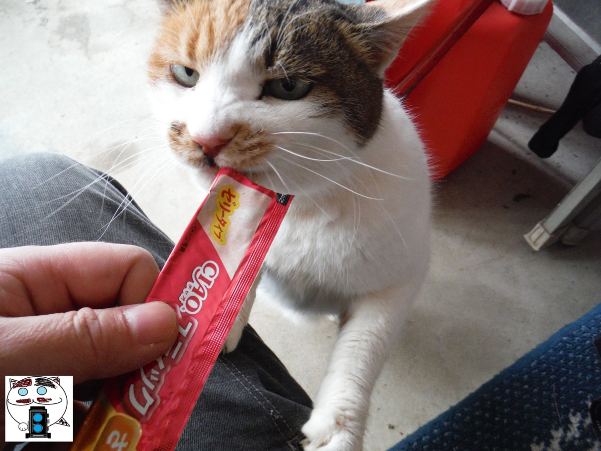 f:id:kefuo:20220211142541j:plain