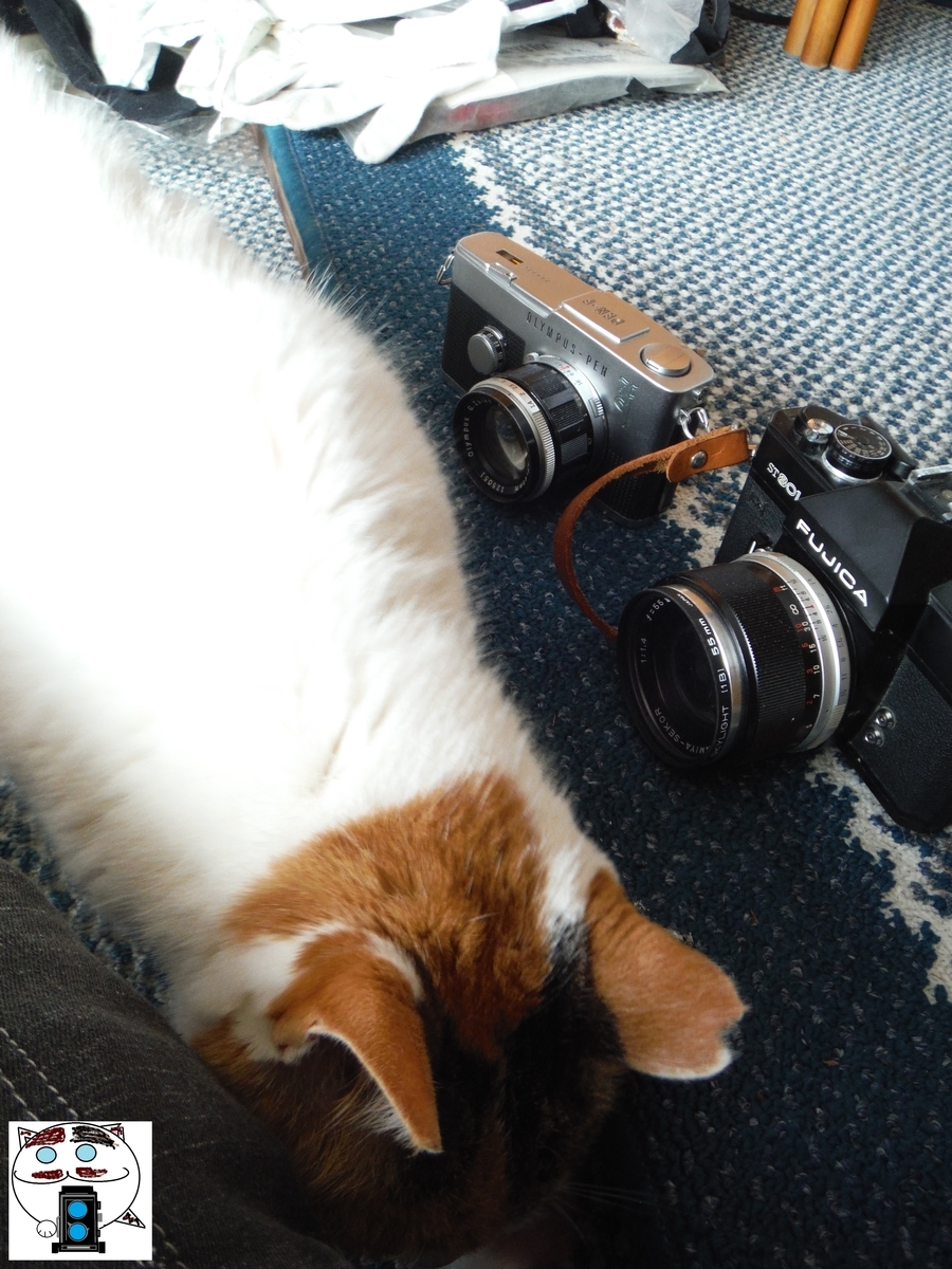 f:id:kefuo:20220211142934j:plain