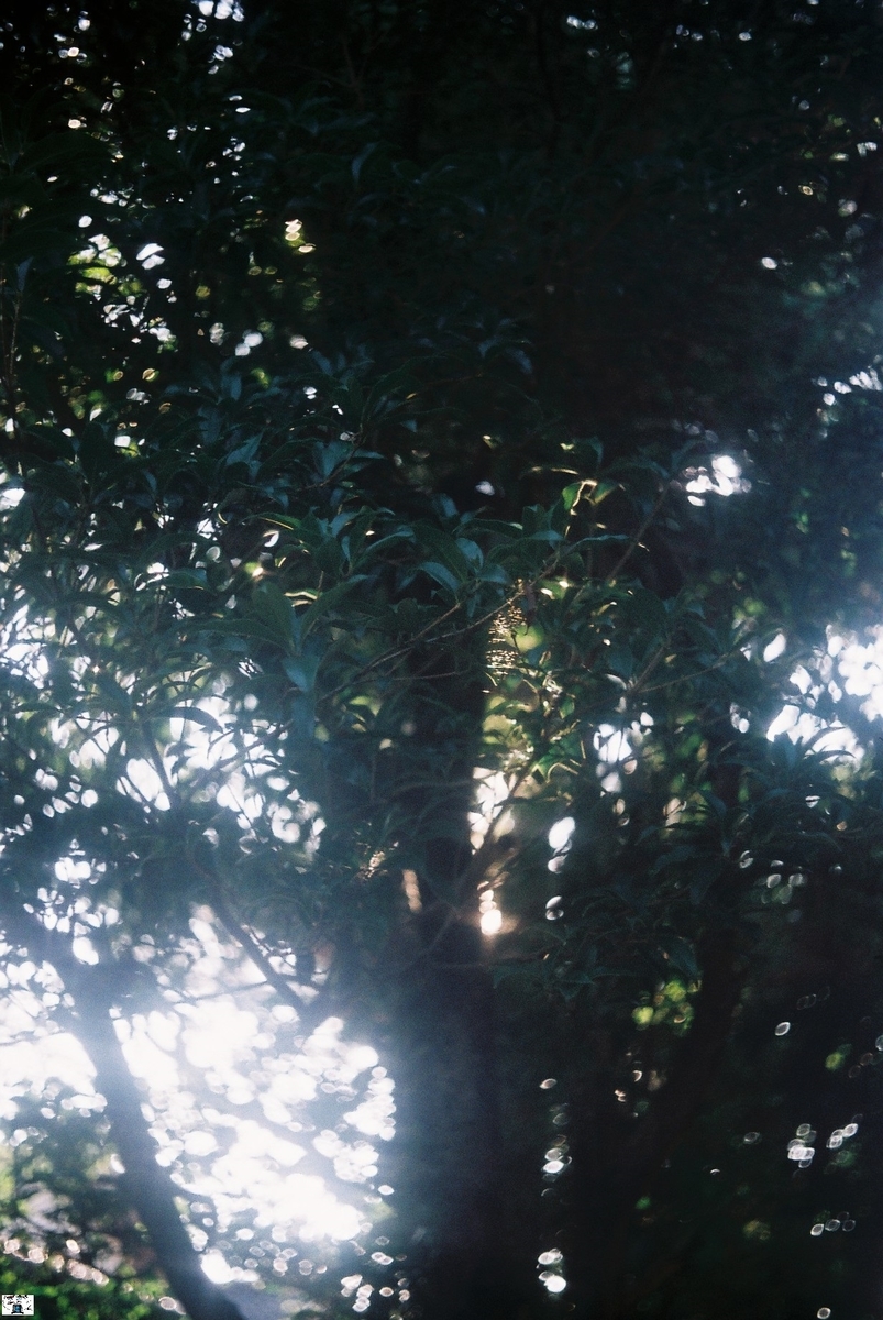 f:id:kefuo:20220215074649j:plain