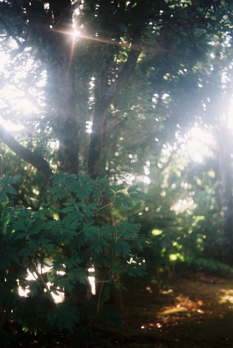 f:id:kefuo:20220215075120j:plain