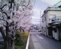 20100403125241