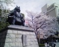 20100403125242