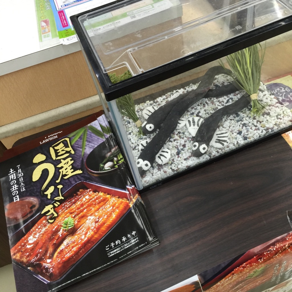 f:id:kei-go:20160703104413j:image