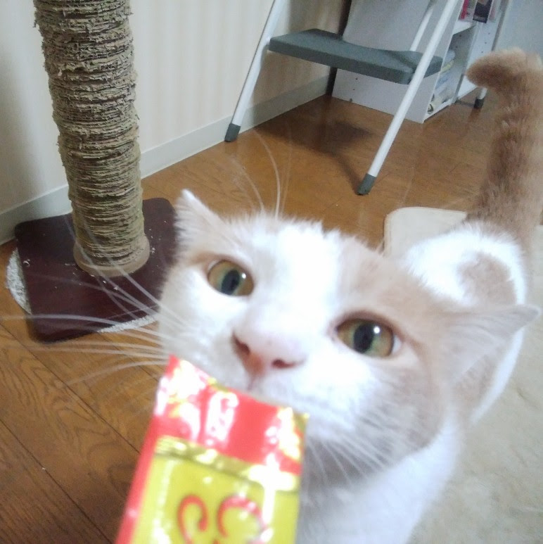 f:id:kei-k2:20200617212240j:plain