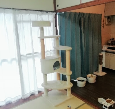 f:id:kei-k2:20210626195421p:plain
