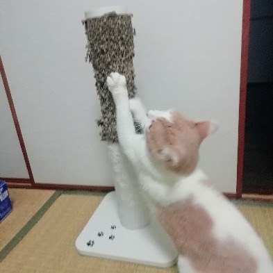 f:id:kei-k2:20210806210649j:plain