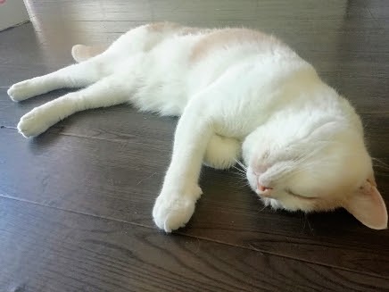 f:id:kei-k2:20210927193507j:plain