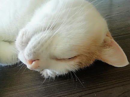 f:id:kei-k2:20210927193514j:plain