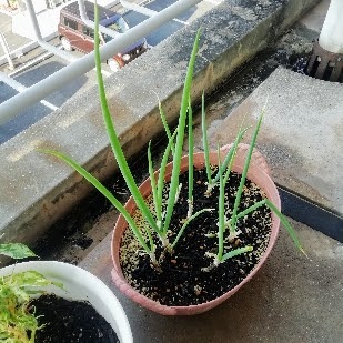 f:id:kei-k2:20211003185745j:plain