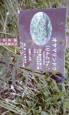 f:id:kei-muramura:20110818094559j:image