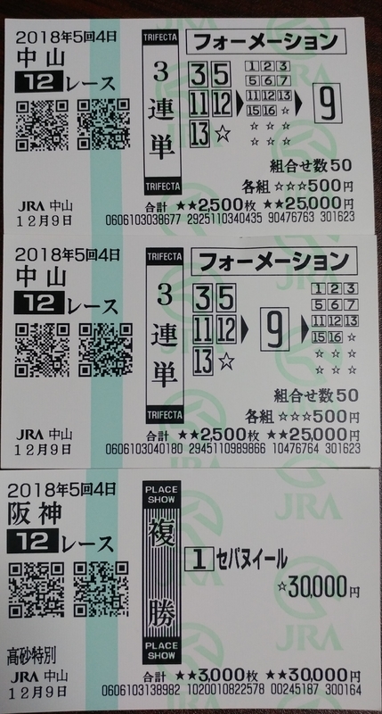 f:id:kei-vital:20181227193542j:plain f:id:kei-vital:20181227193542j:plain