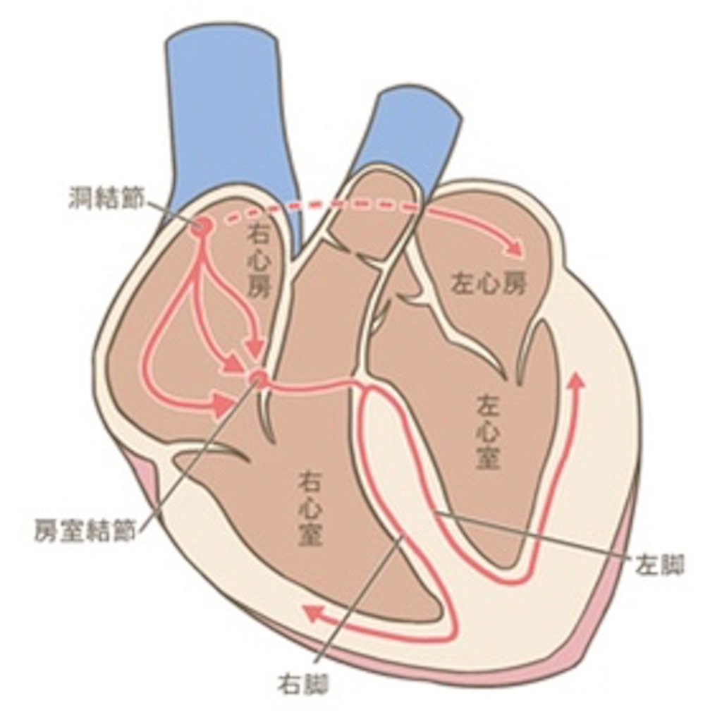 f:id:kei0w0:20200607014759j:image f:id:kei0w0:20200607014759j:image