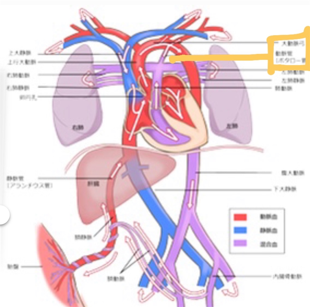 f:id:kei0w0:20200617173944j:image f:id:kei0w0:20200617173944j:image