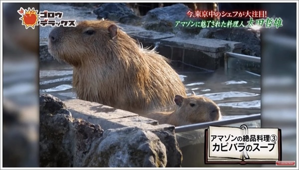 f:id:kei561208:20180601221402j:plain f:id:kei561208:20180601221402j:plain