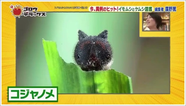 f:id:kei561208:20180824190242j:plain f:id:kei561208:20180824190242j:plain