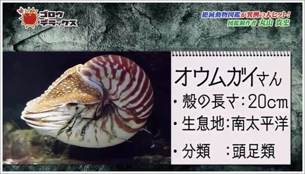 f:id:kei561208:20181211233304j:plain f:id:kei561208:20181211233304j:plain
