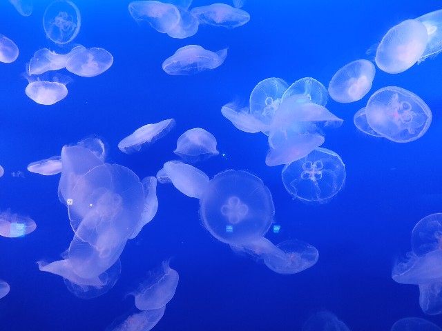 f:id:kei_00:20240318183243j:image