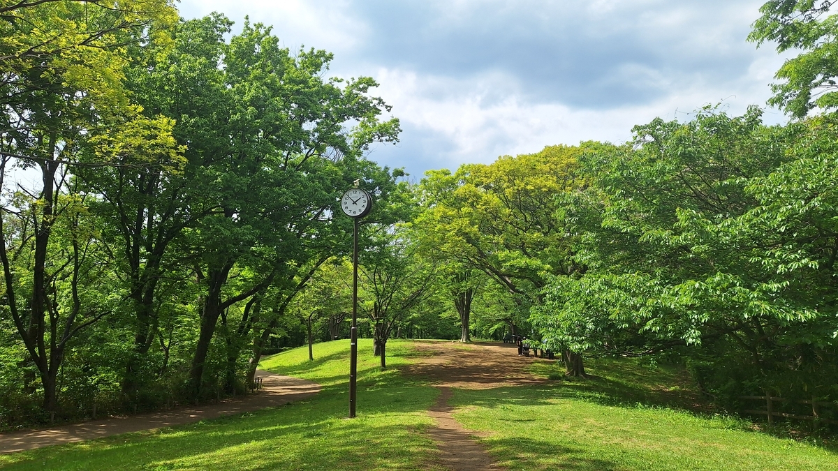 新緑を愛でてきました~近くの公園までお散歩~ - 50代のあれこれ