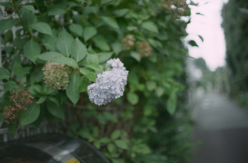 f:id:kei_arika:20201012233544j:plain