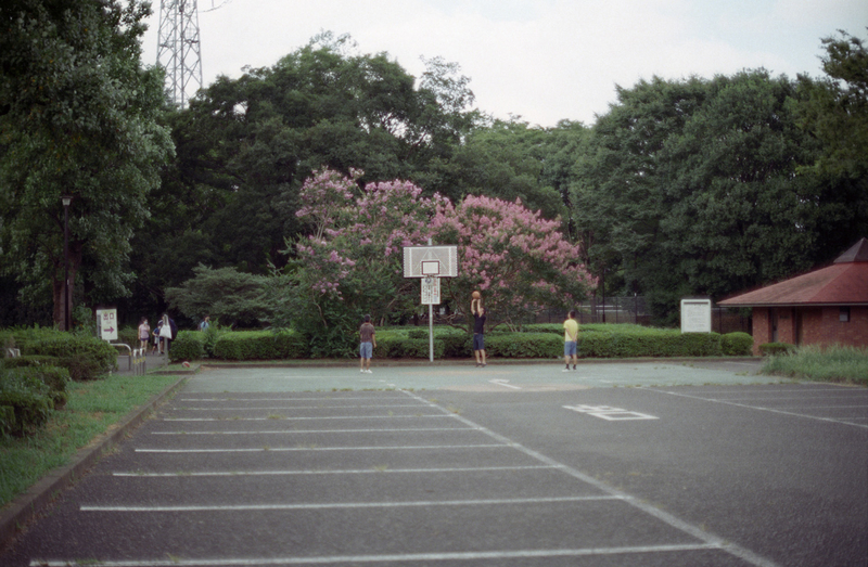 f:id:kei_arika:20201012233548j:plain